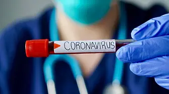 Нови 115 с коронавирус в Хасковско за седмица