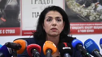 Григорова: Ако съдът реши, че резултатите от вота са законосъобразни, първа ще поздравя Терзиев