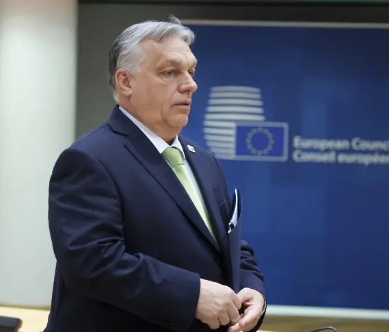 Петър Кръстев: Партията-държава на Орбан е като Неаполитанската мафия