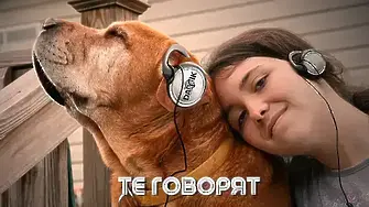 Как да се облечем с хуманност - кампания на „Четири лапи“