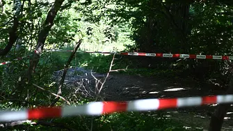Водещите версии и възможните мотиви за убийството на Алексей Петров