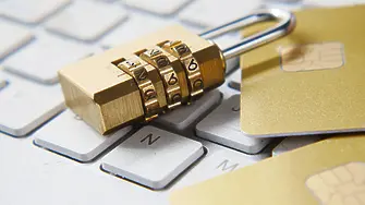 Учени използват изкуствен интелект и подводни микрофони за изследване и защита на морския живот