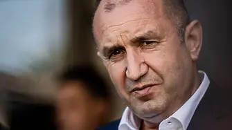 Елена Дариева по Дарик за правителството:  Нещо, което не скърца, много лесно се чупи