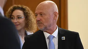 Надежда Цекулова по Дарик: Системата вижда децата като бездушни обекти, които трябва да ремонтира
