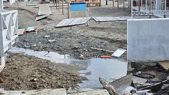 “Биволъ”: Има 360 разрешения за сеч край наводненото село Кости от 2021 досега