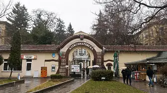 Шанс за нов живот получиха петима българи след донорски ситуации