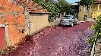 Местата, които ТРЯБВА да посетите през 2024 г.