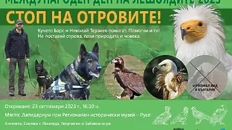 Връщането на брадатия лешояд в България и на Балканския полуостров е целта на нов проект