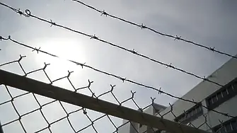 Двама задържани в България при мащабна европейска акция срещу детската порнография
