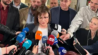 Какви избиратели подкрепиха Терзиев и какви - Григорова
