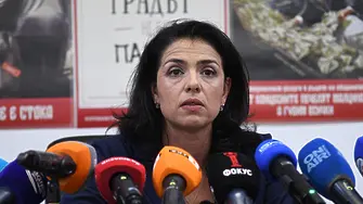 Какви избиратели подкрепиха Терзиев и какви - Григорова