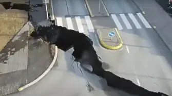 Зимата започва с дъжд и сняг