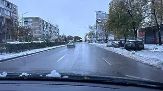 Над 800 сигнала за паднали дървета и клони в София