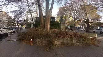 Поройни дъждове в Истанбул, паднало дърво уби младеж