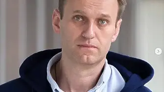 Къде е изчезнал Навални: Обещаха награда за информация за местонахождението му