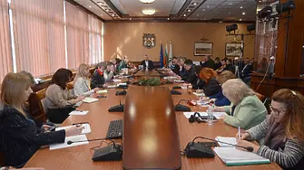 Нова година без сняг, зимата се завръща около 7 януари