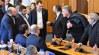 БСП възмутени от „Да, България“ и „Демократи за силна България“ заради торта с ПСА