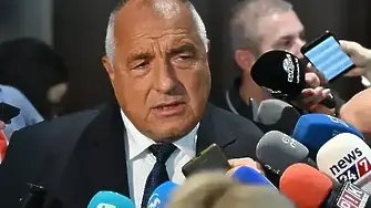 Борисов бил натискан отвън за смяна на вътрешния министър