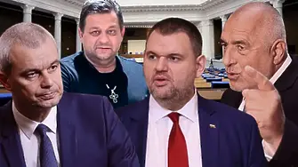 Политика в мрежата: Може ли онлайн известността да осигури депутатско място?