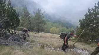 Овладяно е навлизането на пожара от Гърция в България