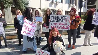 Видинчани излизат на втори протест срещу насилието над животни