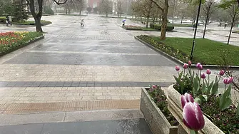 В знак на съпричастност към скръбта на семейството на Сияна Община Плевен отменя всички общински прояви на 12 април