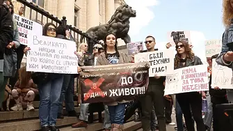 Върнаха в ареста Красимир Георгиев, обвинен за насилие над животни 