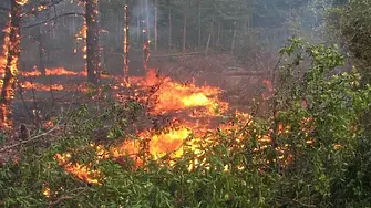 Пожарни от Стара Загора и Сливен гасят пожар в нива до автомагистрала "Тракия"