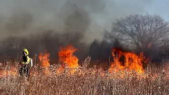Двама загинали и 50 хил. евакуирани при пожари в Турция