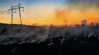 Гори пожар край Балчик