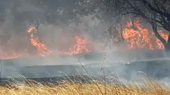 Пожар избухна край Българово, евакуират хора