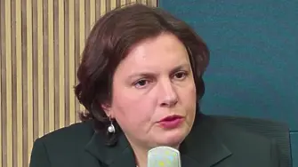 Бонка Василева, ПП-ДБ: Вълчо и Кума Лиса могат да участват в поръчката за боклука в София!