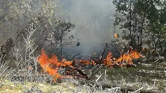 Пожар бушува край Самарското знаме в Стара Загора