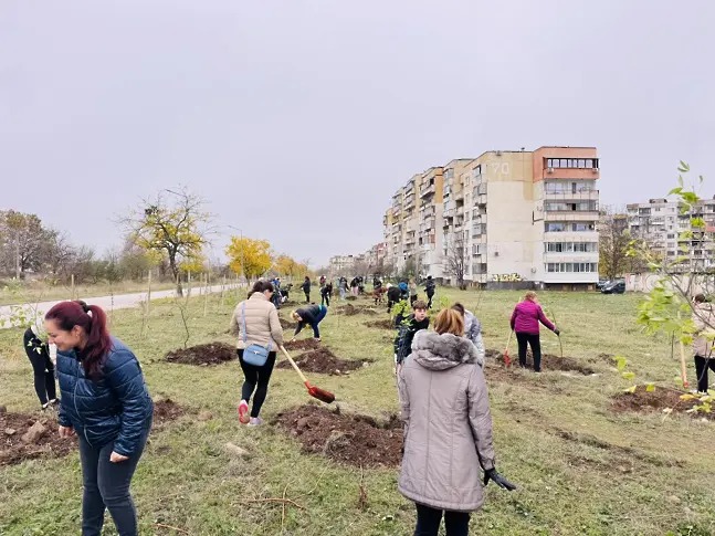 500 нови дървета засадиха във Враца – за по-зелен и красив град!