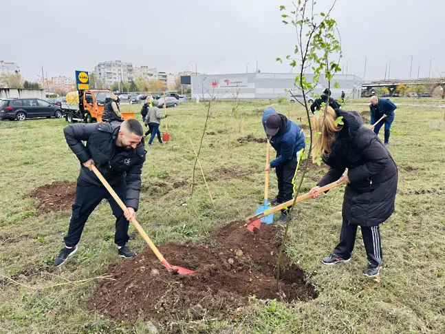 500 нови дървета засадиха във Враца – за по-зелен и красив град!