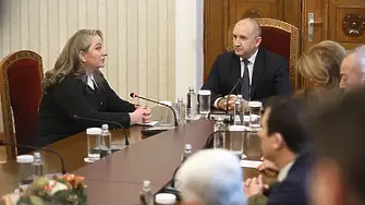 След оставката на кабинета: Втори ден на консултации при президента