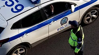 Разследват смъртта на 3 домашни кучета във видинското с. Иново