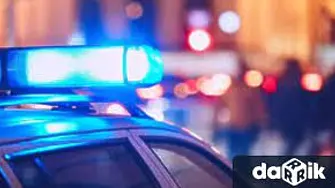 Претърсиха имот във врачанско село и намериха 62 растения канабис
