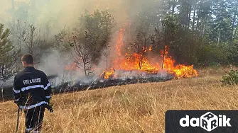Огнеборци спасиха къща в Лом при пожар, пламнаха и 6 декара сухи треви