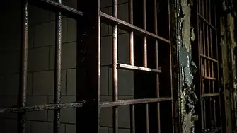Около 700 затворници в Англия и Уелс бяха предсрочно освободени