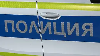 Кола блъсна възрастна жена и внука ѝ на пешеходна пътека