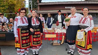Фестивал и традиционен събор събраха жители и гости във видинските села Покрайна и Акациево