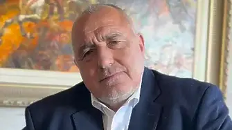 Борисов: Няма да казваме на хората за кого да гласуват